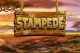 Betsoft slot Stampede