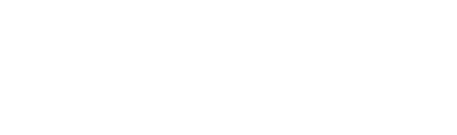 Perfect Money logo